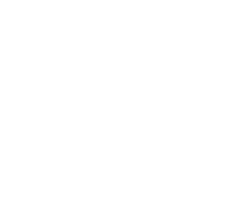 intercars